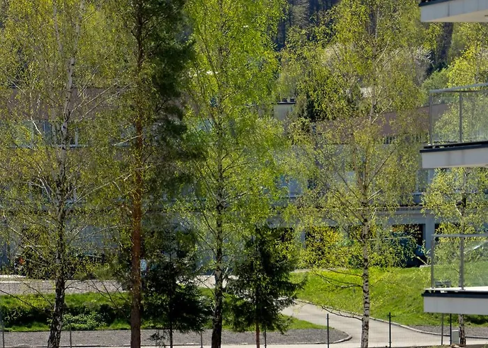 Szyndzielnia Hill # Nestapartamenty